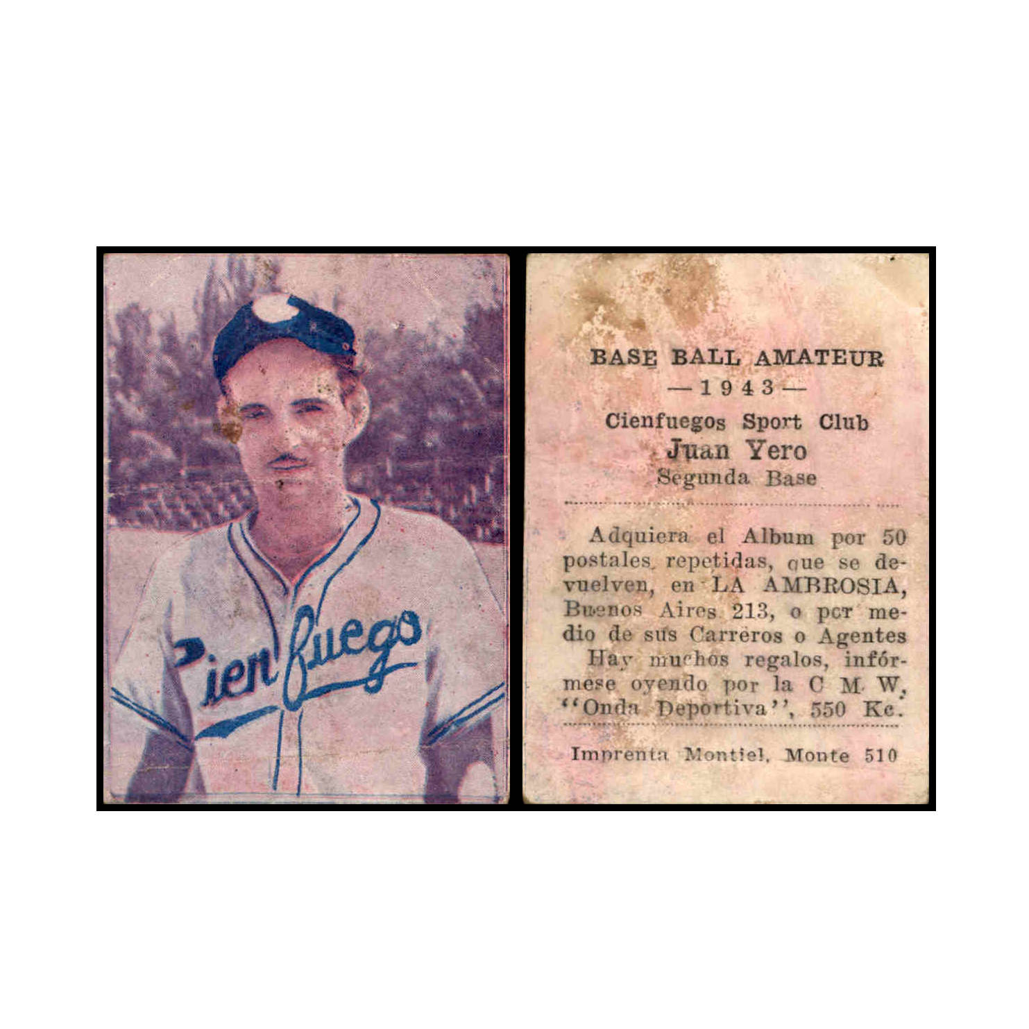 Jorge Alfaro MLB Memorabilia, Jorge Alfaro Collectibles, Verified Signed Jorge  Alfaro Photos