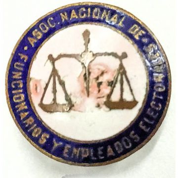 Association - Asociacion Nacional de Funcionarios y Empleados Electorale