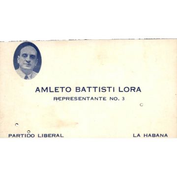 Amleto Battisti Lora, Representante #3