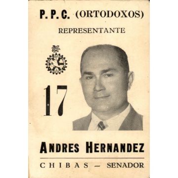 Andres Hernandez, Representante #17