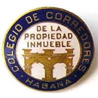 Association - Colegio de Corredores de la Propiedad Inmueble, Blue Pin