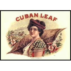 Cuban Leaf Postcard