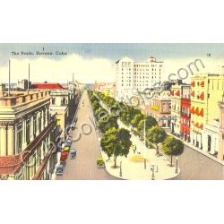 Paseo del Prado Postcard