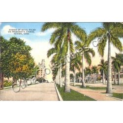 Avenida Presidentes Postcard
