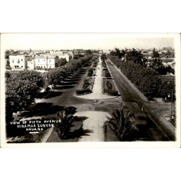 Avenida Quinta Postcard