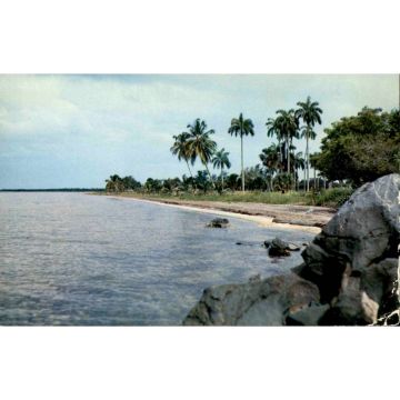 Playa Bibijagua Postcard