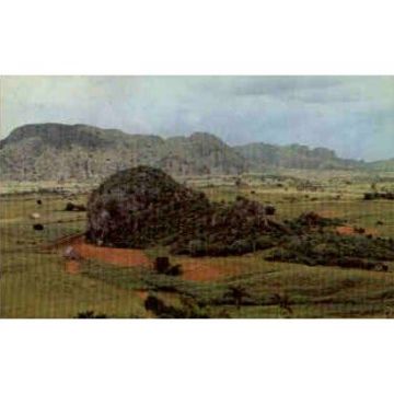 Valle de Vinales Postcard