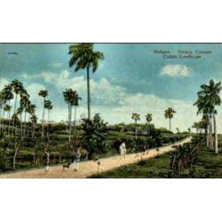 Camino en Cuba Postcard