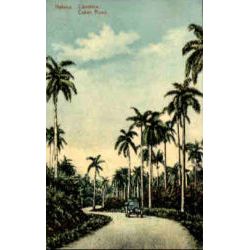 Camino en Cuba Postcard