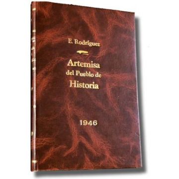 Artemisa, Historia del Municipio 1973