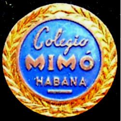 Pin em colégio